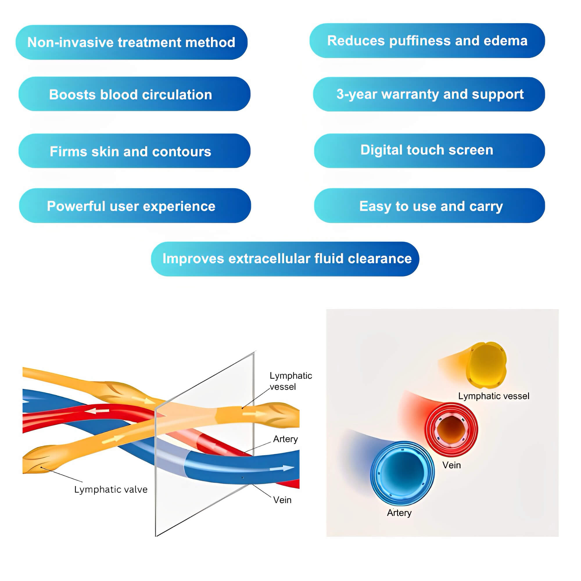 Pressotherapy treatment areas