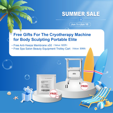 Machine de cryothérapie pour sculpter le corps Portable Elite
