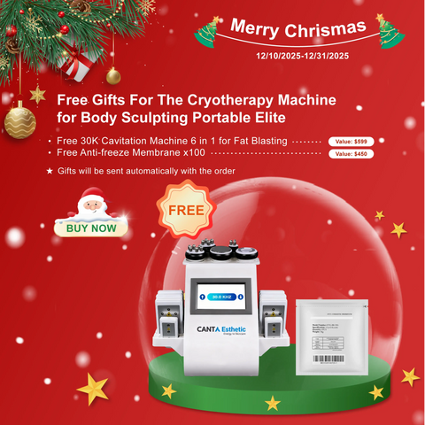 Machine de cryothérapie pour sculpter le corps Portable Elite